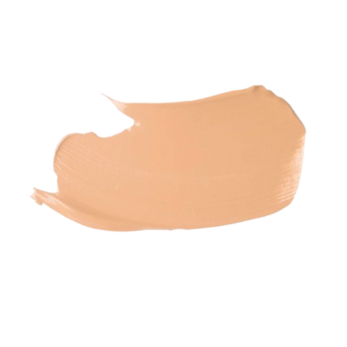 Stay All Day Foundation & Concealer Fair 2